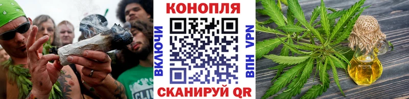 Купить закладки  Сурск  Бошки марихуана тримм 